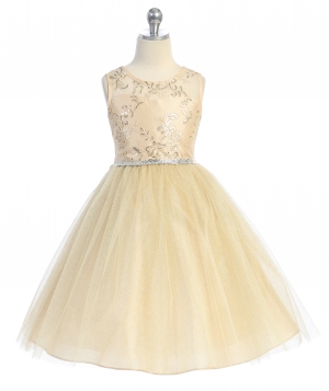 Champagne Sleeveless Dress with Sequin Bodice and Illusion Neckline